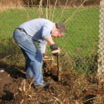 March: Finding the garden